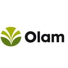 Olam